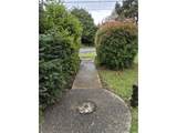 1115 Harbor Ave - Photo 47
