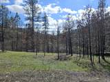 47345 Ritter Rd - Photo 37