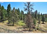 47345 Ritter Rd - Photo 39