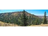 47345 Ritter Rd - Photo 47