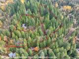 25583 Chester Mountain Dr - Photo 44