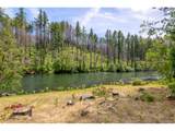 47664 Mckenzie Hwy - Photo 11
