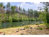 47664 Mckenzie Hwy - Photo 13
