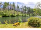 47664 Mckenzie Hwy - Photo 16
