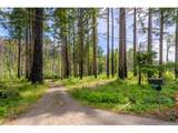 47664 Mckenzie Hwy - Photo 5