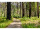 47664 Mckenzie Hwy - Photo 6