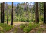47664 Mckenzie Hwy - Photo 7