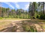 47664 Mckenzie Hwy - Photo 8