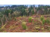  Pumpkin Ridge Rd - Photo 10