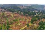  Pumpkin Ridge Rd - Photo 11