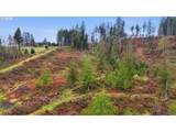  Pumpkin Ridge Rd - Photo 13