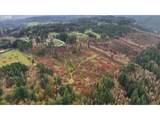  Pumpkin Ridge Rd - Photo 16