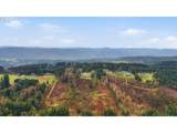  Pumpkin Ridge Rd - Photo 17