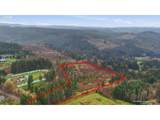  Pumpkin Ridge Rd - Photo 18