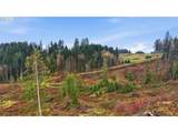  Pumpkin Ridge Rd - Photo 8