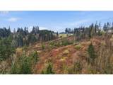  Pumpkin Ridge Rd - Photo 9