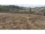 0 Panther Creek Rd - Photo 11