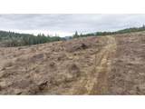 0 Panther Creek Rd - Photo 22