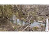 0 Panther Creek Rd - Photo 33