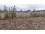0 Panther Creek Rd - Photo 34