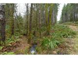 0 Panther Creek Rd - Photo 41