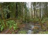 0 Panther Creek Rd - Photo 42