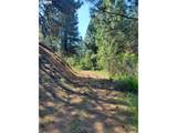  Wiley Creek Road - Photo 3