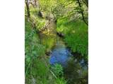  Wiley Creek Road - Photo 5