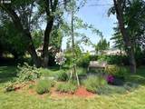 1208 Linn Way - Photo 27
