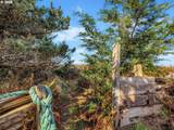 4930 Fairway Ave - Photo 43