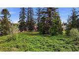 16340 Sandy Blvd - Photo 13
