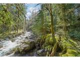 75804 Mount Hood Hwy - Photo 22