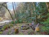 75804 Mount Hood Hwy - Photo 23