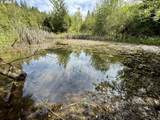  Clausen Rd - Photo 11