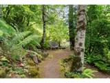 221 Moonridge Pl - Photo 43
