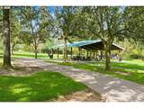 13217 Summerwood Dr - Photo 33