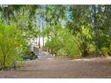 13217 Summerwood Dr - Photo 39