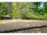 13217 Summerwood Dr - Photo 42