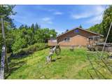 46760 Highway 242 - Photo 33