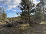  Canvasback Dr - Photo 34