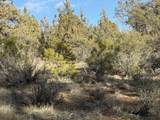  Canvasback Dr - Photo 48