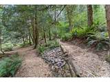 34102 14TH Ave - Photo 28