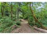 34102 14TH Ave - Photo 37