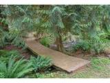 34102 14TH Ave - Photo 38