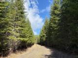 0 Boiler Creek Rd - Photo 1