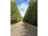 0 Boiler Creek Rd - Photo 11