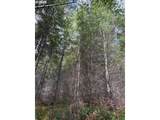 0 Boiler Creek Rd - Photo 2