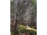 0 Boiler Creek Rd - Photo 3
