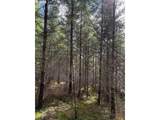 0 Boiler Creek Rd - Photo 4