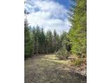 0 Boiler Creek Rd - Photo 6